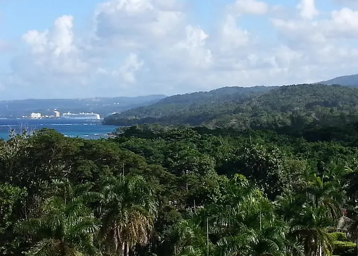 One Luxe Jamaica With Private Pool, Modern Interior And Secluded * Ocho Ríos